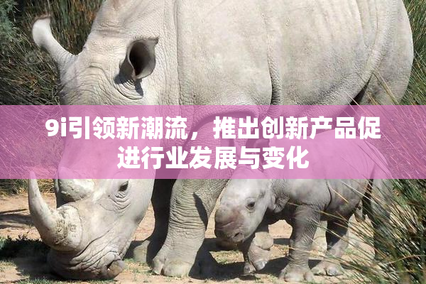 9i引领新潮流，推出创新产品促进行业发展与变化