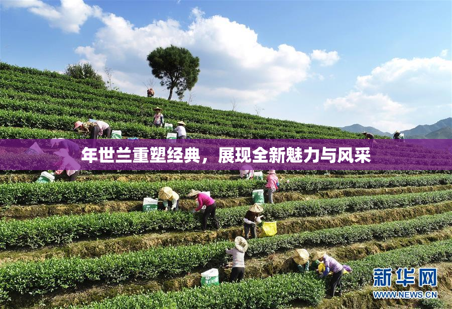 年世兰重塑经典，展现全新魅力与风采