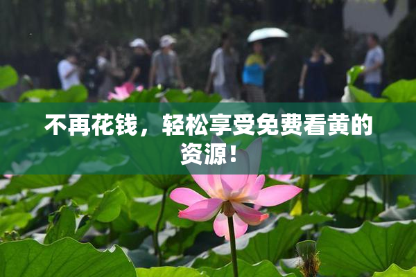 不再花钱，轻松享受免费看黄的资源！