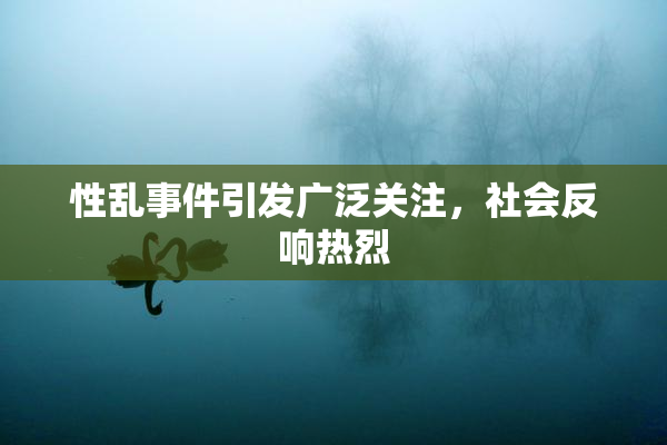 性乱事件引发广泛关注，社会反响热烈