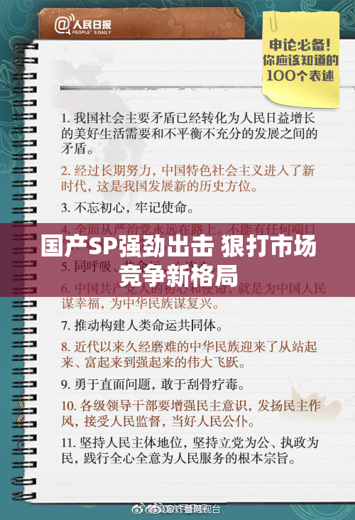 国产SP强劲出击 狠打市场竞争新格局