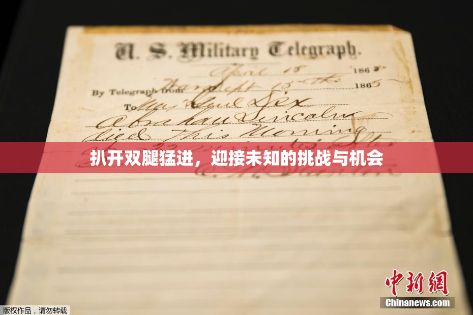 扒开双腿猛进，迎接未知的挑战与机会