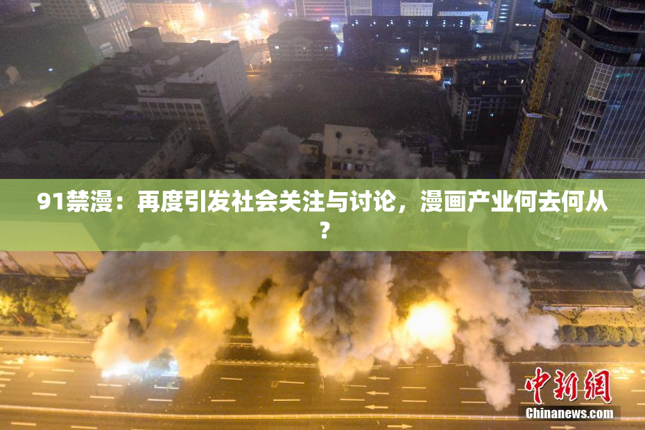 91禁漫：再度引发社会关注与讨论，漫画产业何去何从？