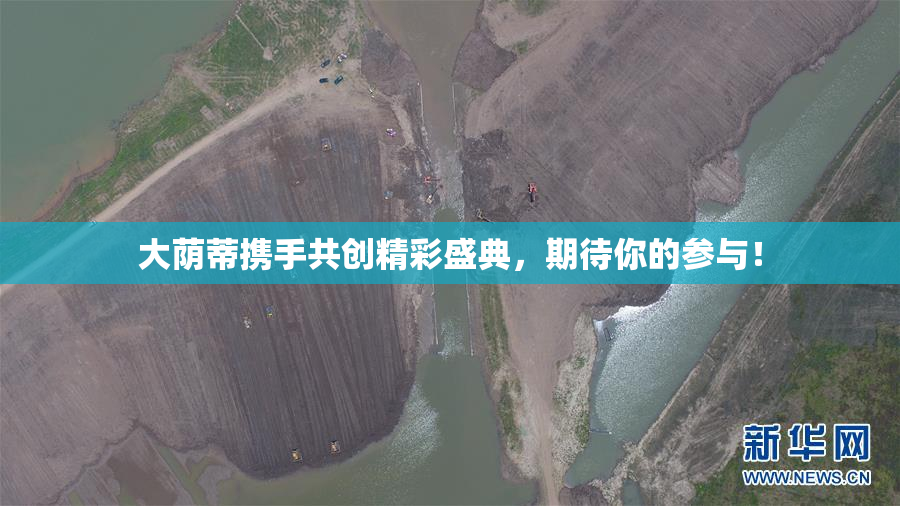 大荫蒂携手共创精彩盛典，期待你的参与！