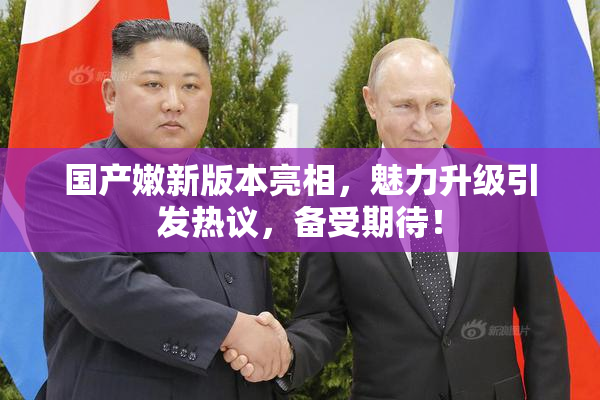 国产嫩新版本亮相，魅力升级引发热议，备受期待！