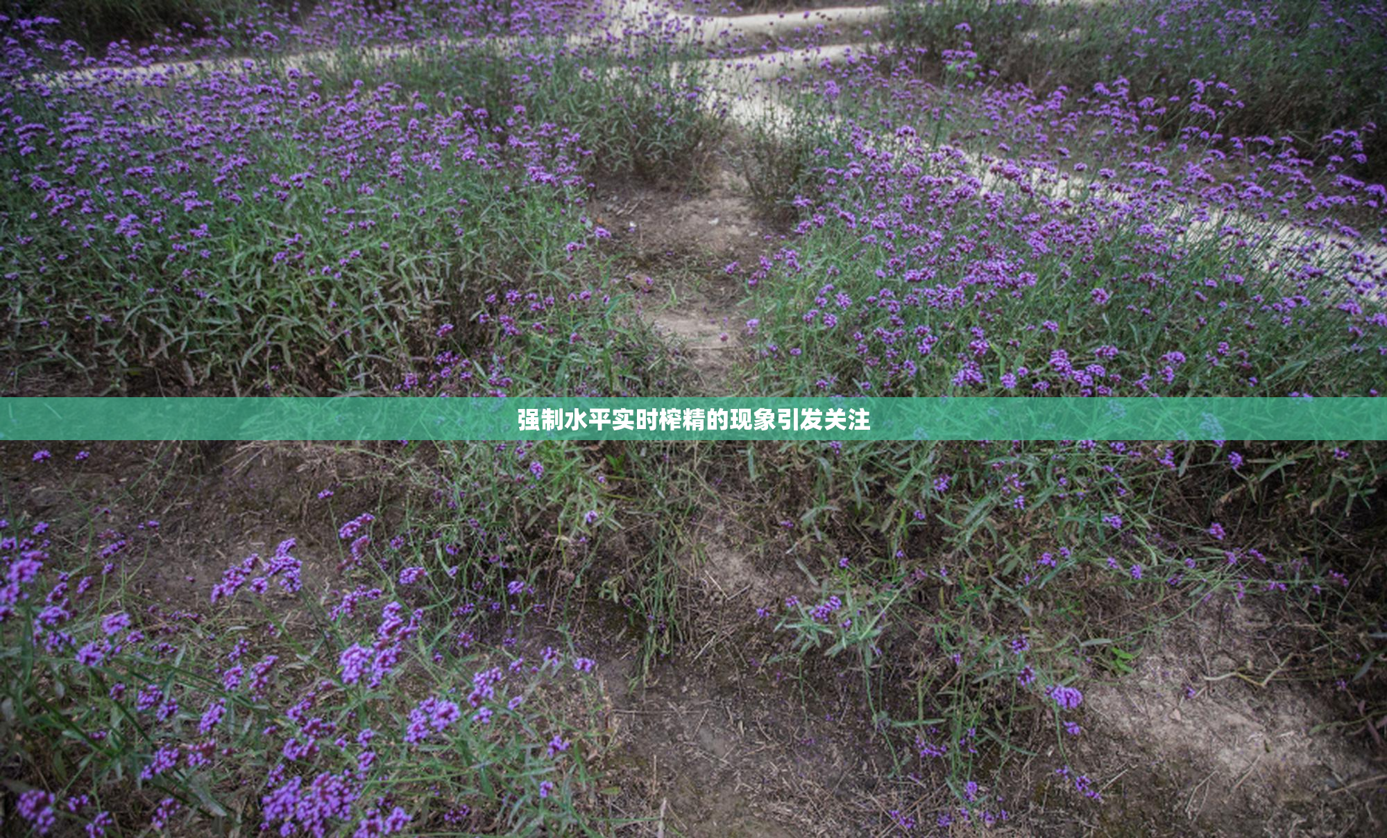 强制水平实时榨精的现象引发关注