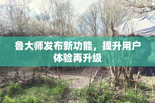 鲁大师发布新功能，提升用户体验再升级