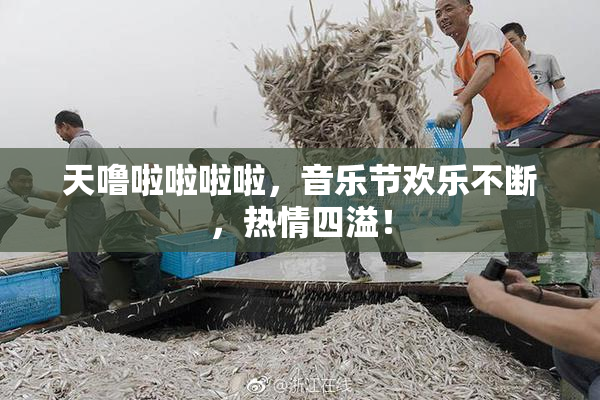 天噜啦啦啦啦，音乐节欢乐不断，热情四溢！