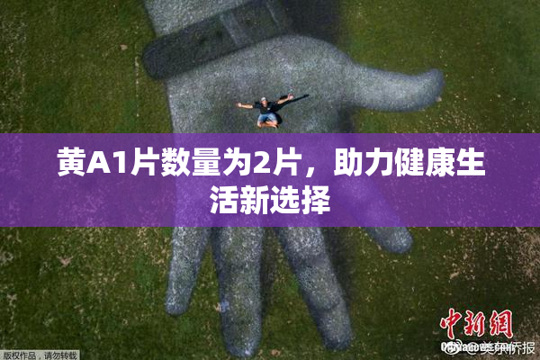黄A1片数量为2片，助力健康生活新选择