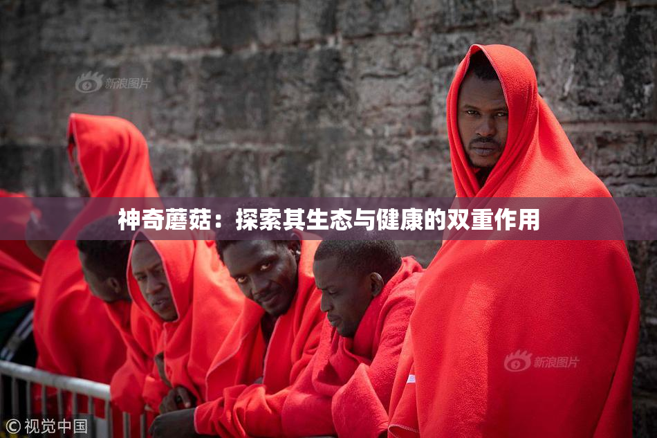 神奇蘑菇：探索其生态与健康的双重作用