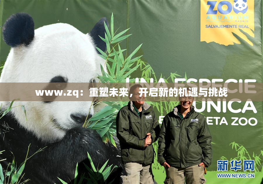 www.zq：重塑未来，开启新的机遇与挑战