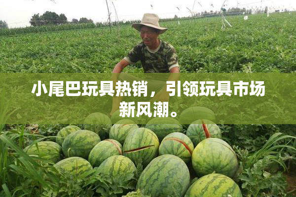 小尾巴玩具热销，引领玩具市场新风潮。