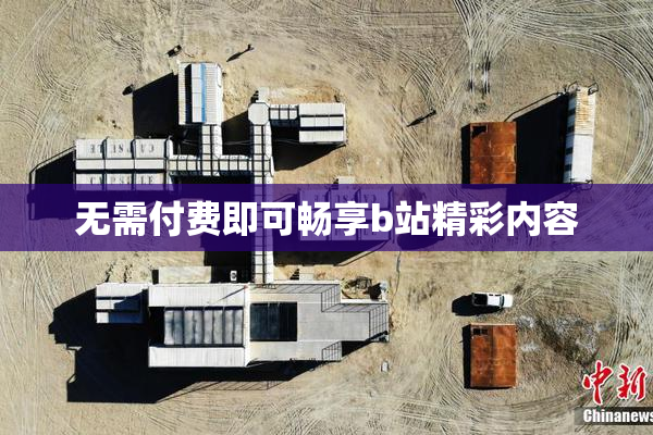 无需付费即可畅享b站精彩内容