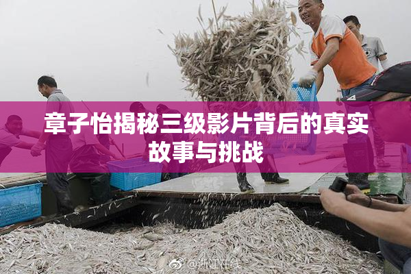 章子怡揭秘三级影片背后的真实故事与挑战