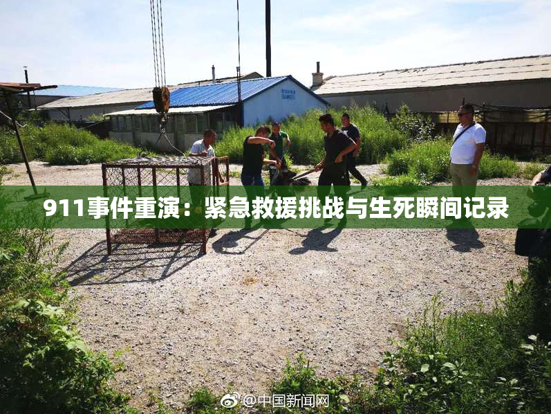 911事件重演：紧急救援挑战与生死瞬间记录