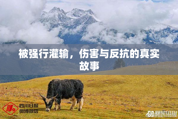 被强行灌输，伤害与反抗的真实故事