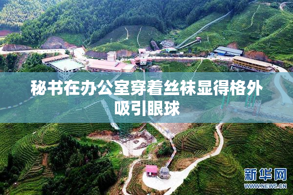 秘书在办公室穿着丝袜显得格外吸引眼球