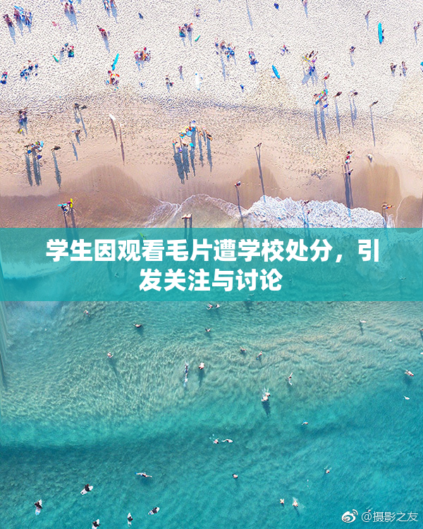 学生因观看毛片遭学校处分，引发关注与讨论