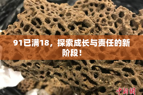 91已满18，探索成长与责任的新阶段！