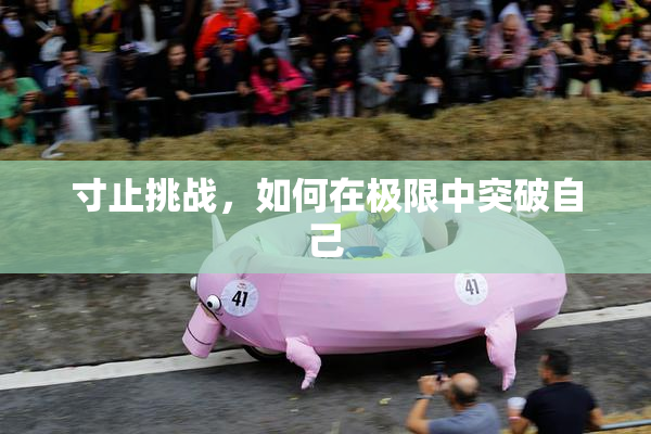 寸止挑战，如何在极限中突破自己