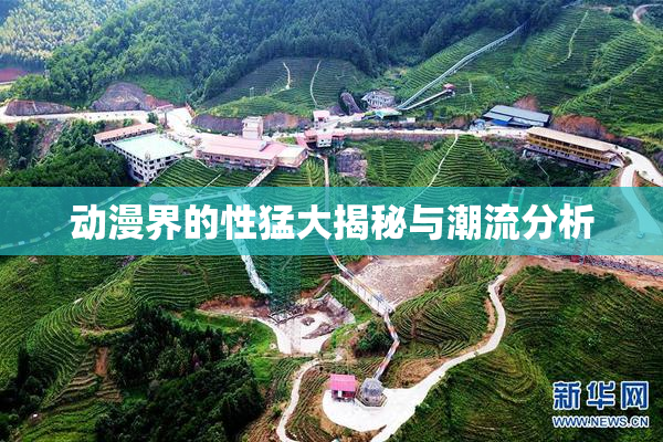 动漫界的性猛大揭秘与潮流分析