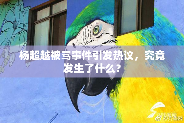 杨超越被骂事件引发热议，究竟发生了什么？