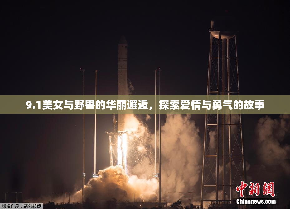 9.1美女与野兽的华丽邂逅，探索爱情与勇气的故事