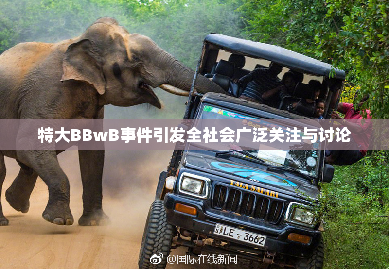 特大BBwB事件引发全社会广泛关注与讨论
