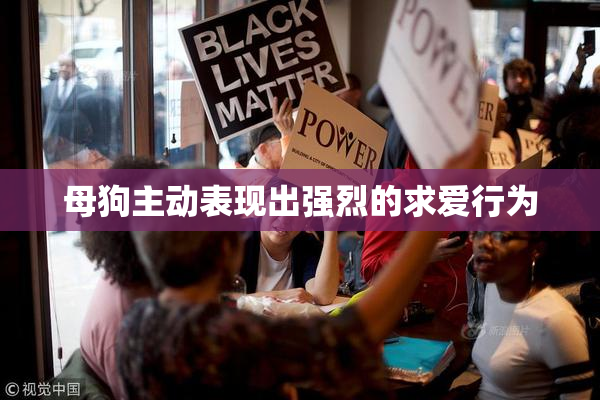 母狗主动表现出强烈的求爱行为