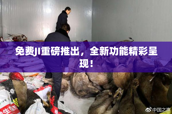 免费JI重磅推出，全新功能精彩呈现！
