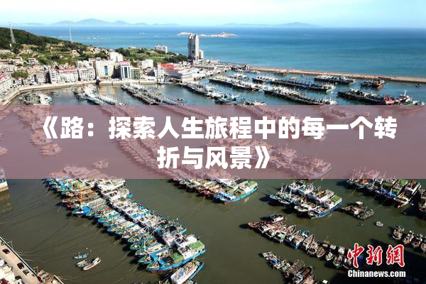 《路：探索人生旅程中的每一个转折与风景》
