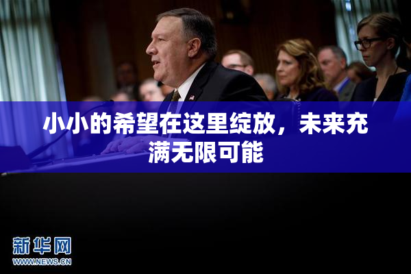 小小的希望在这里绽放，未来充满无限可能