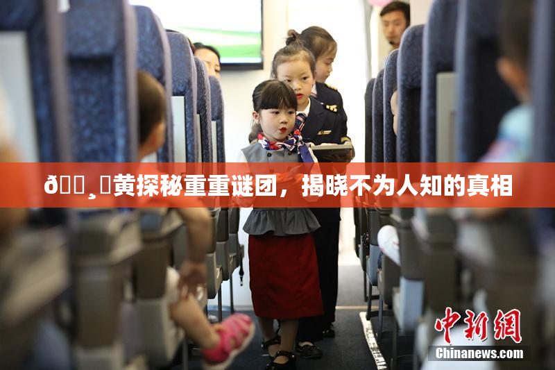 🌸‌黄探秘重重谜团，揭晓不为人知的真相