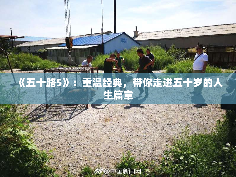 《五十路5》：重温经典，带你走进五十岁的人生篇章