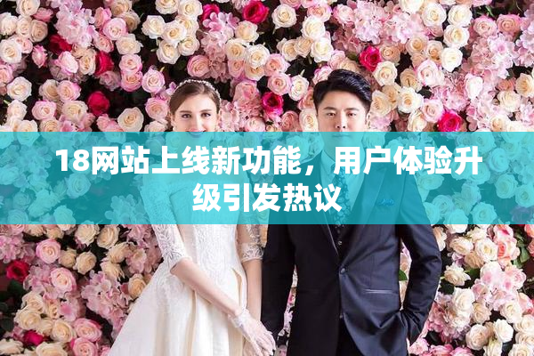 18网站上线新功能，用户体验升级引发热议