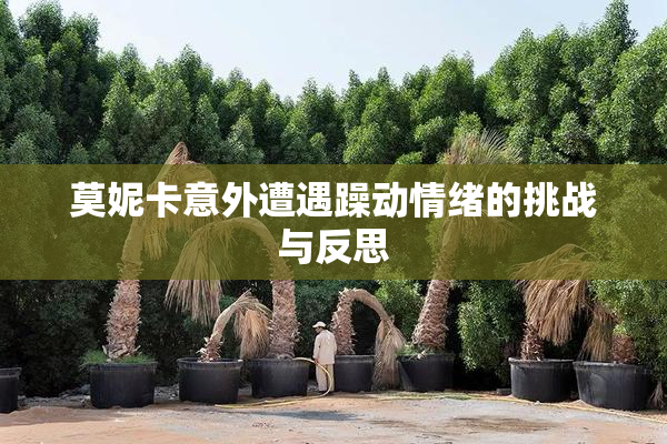 莫妮卡意外遭遇躁动情绪的挑战与反思
