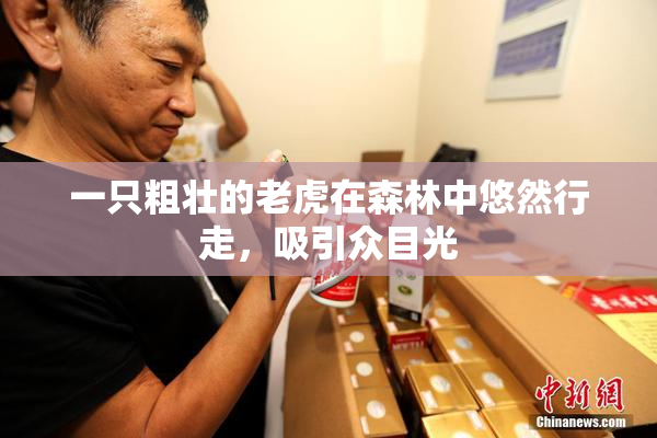 一只粗壮的老虎在森林中悠然行走，吸引众目光