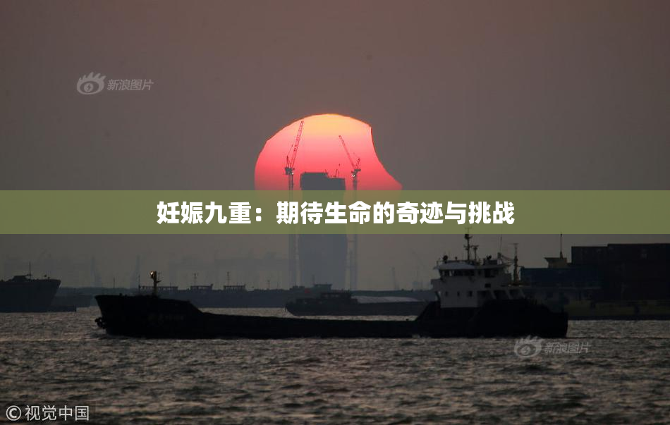 妊娠九重：期待生命的奇迹与挑战