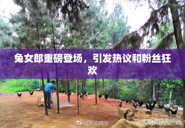 兔女郎重磅登场，引发热议和粉丝狂欢