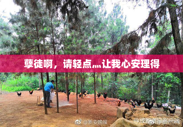 孽徒啊，请轻点灬让我心安理得