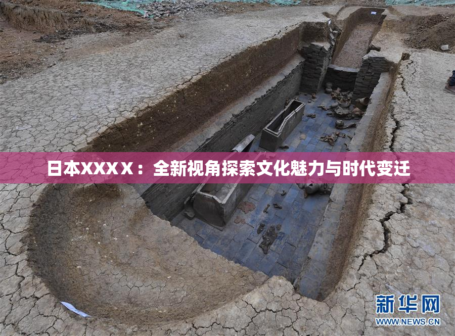 日本XXXⅩ：全新视角探索文化魅力与时代变迁
