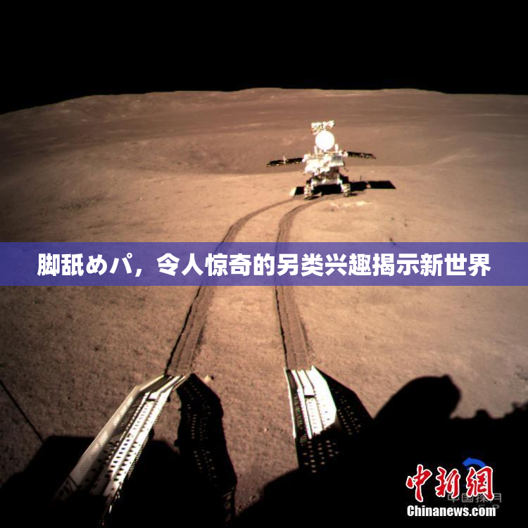 脚舐めパ，令人惊奇的另类兴趣揭示新世界