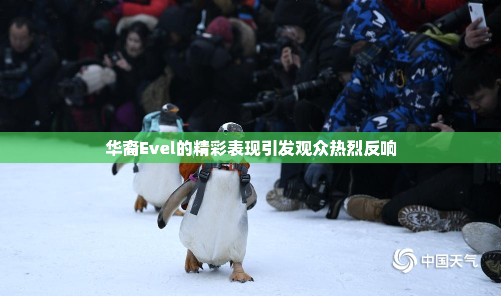 华裔Evel的精彩表现引发观众热烈反响