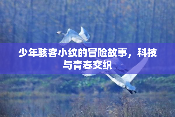 少年骇客小纹的冒险故事，科技与青春交织