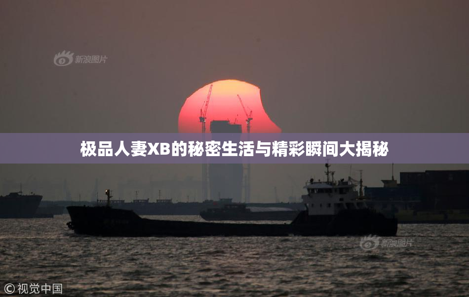 极品人妻XB的秘密生活与精彩瞬间大揭秘
