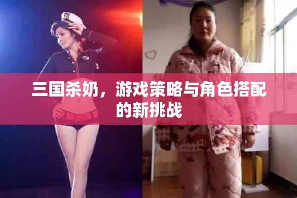 三国杀奶，游戏策略与角色搭配的新挑战