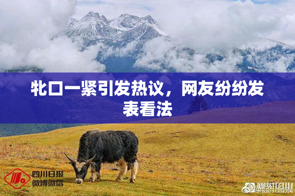 牝口一紧引发热议，网友纷纷发表看法