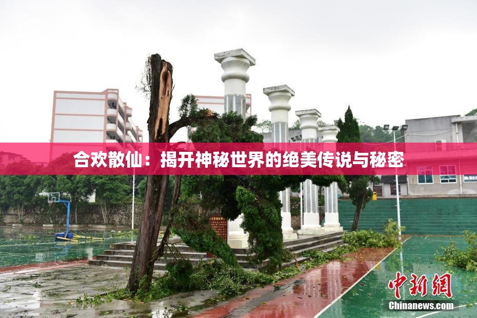 合欢散仙：揭开神秘世界的绝美传说与秘密