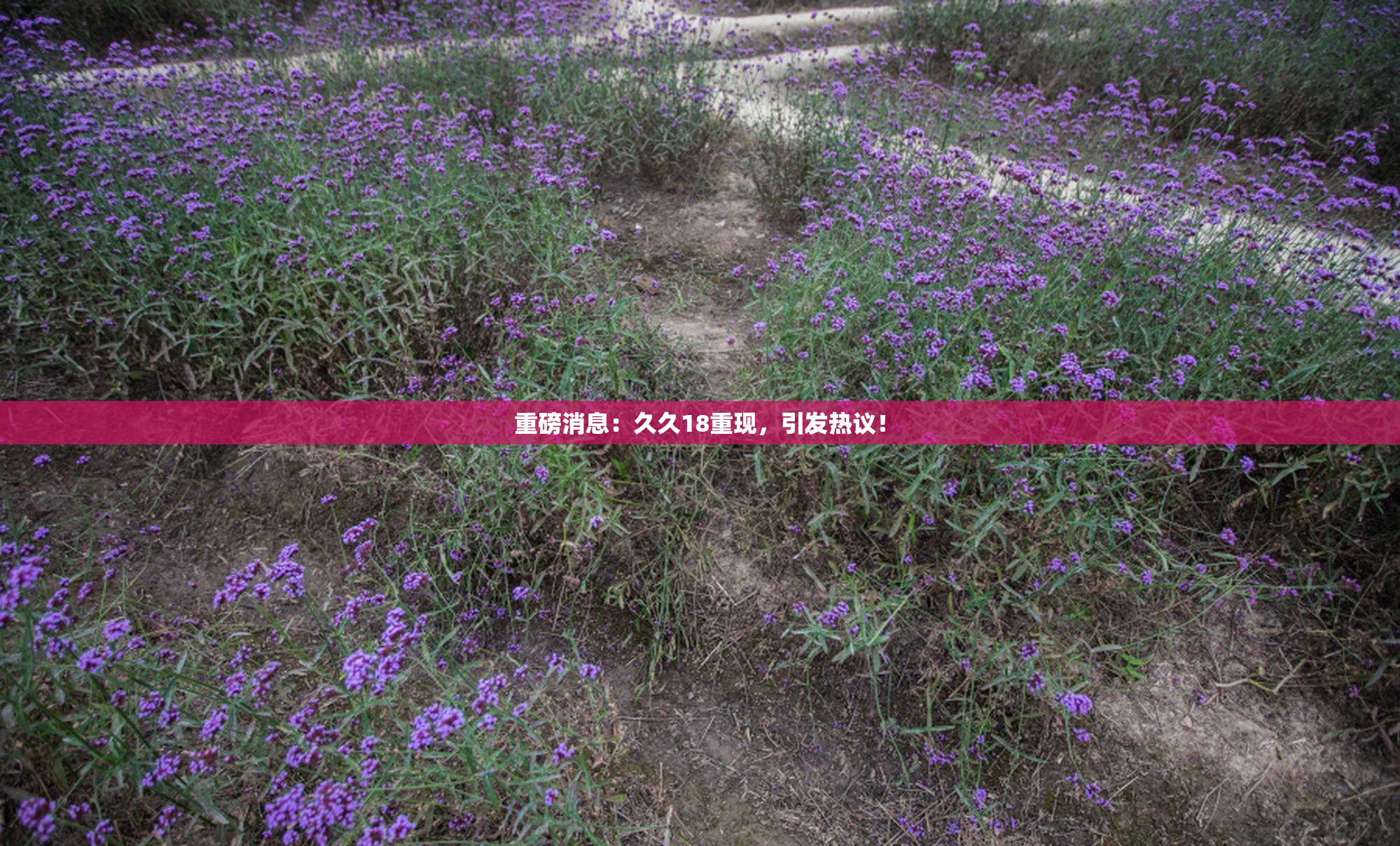 重磅消息：久久18重现，引发热议！
