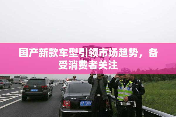 国产新款车型引领市场趋势，备受消费者关注